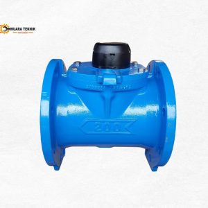 Flow Meter Itron 6 Inch