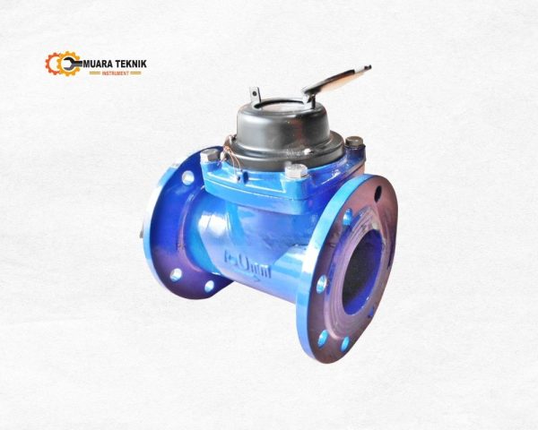 Flow Meter WESTECHAUS 4 Inch