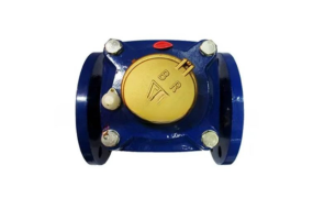 Flow Meter BR 2 INCH