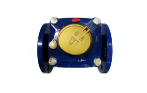 Flow Meter BR 2 INCH