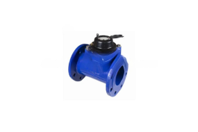 Flow Meter WESTECHAUS 2 INCH