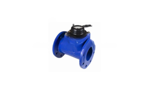 Flow Meter WESTECHAUS 2 INCH