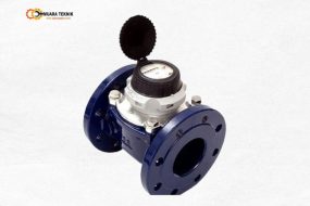 Flow Meter Sensus 10 Inch